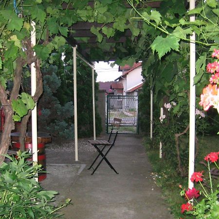 Apartmán Kuca Za Odmor Jelena Kladovo Exteriér fotografie